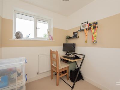 Picture 23